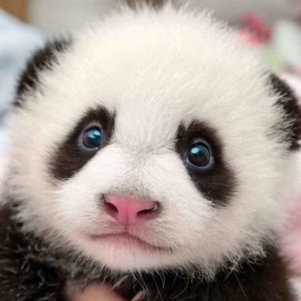 Meet your Posher, Maylou a